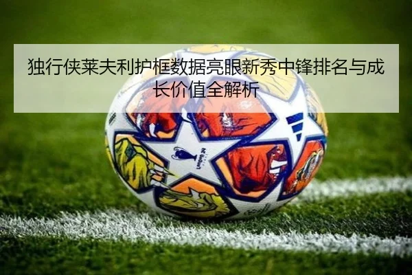 独行侠莱夫利护框数据亮眼新秀中锋排名与成长价值全解析